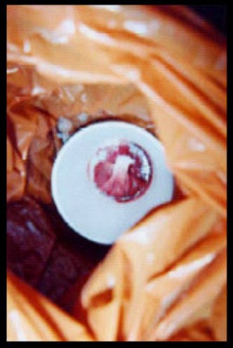 An open orange plastic bag containing a styrofoam cup containing what appears to be a small amount of blood tissue