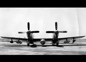 P-51D worldwartwo.filminspector.com
