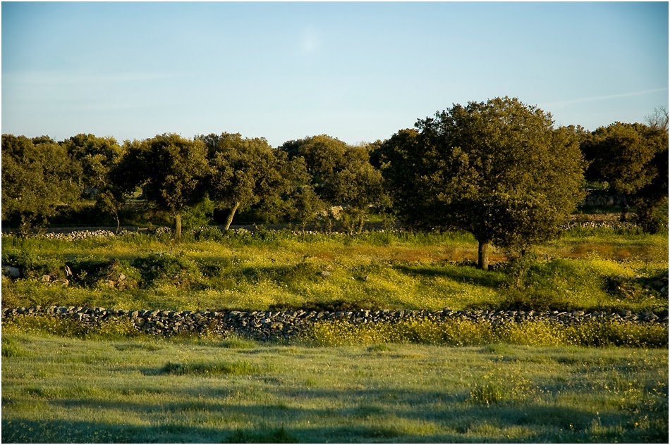 Naturaleza y Etnografía La Ramajería (2ª parte)