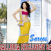 Superb Party Wear Sarees 2013 By Brides Galleria | Bridal And Occasional Exclusive Sarees Collection