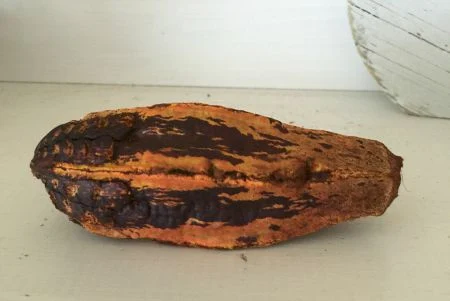 gourd from bag of potpourri