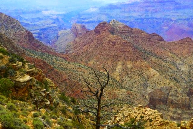 grand canyon