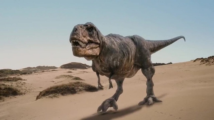 300 Gambar Dinosaurus Sebenar HD Paling Baru 300 Gambar Dinosaurus Sebenar HD Paling Baru