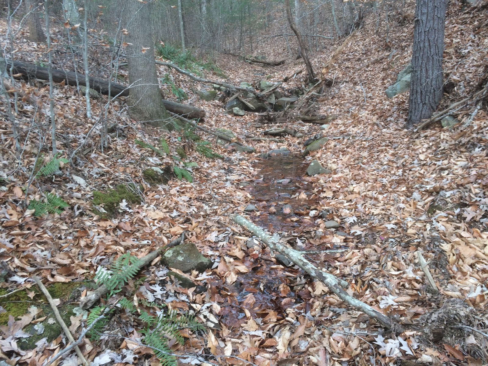 Virginia Water Radio Episode 397 (12417) Where Headwaters Flow