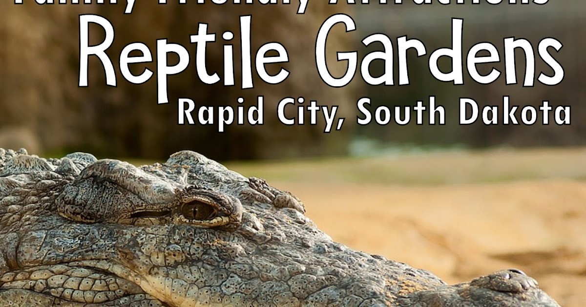 FamilyFriendly Attractions Reptile Gardens