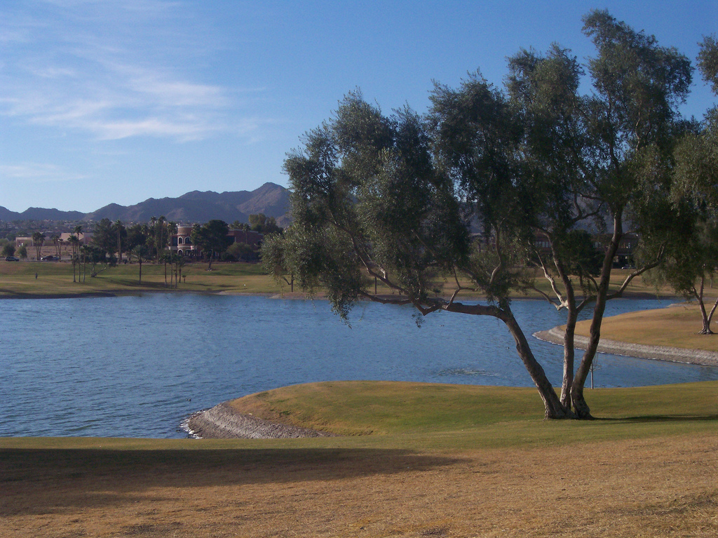 Your Source for Fountain Hills News and Real Estate Information
