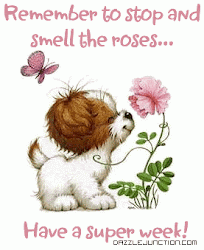 week ahead blessed quotes roses super clip morning smell nice quote rose night quotesgram clipart graphics dog fanpop believe cards