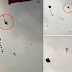 بالفيديو طائرة ورقية تطير بطفل 20 مترا ويسقط ميتا في فيتنام
