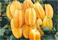 buah belingbing buah belingbing