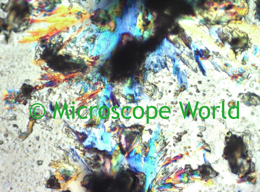 Microscope World Blog Fluoboric Acid Under Microscope