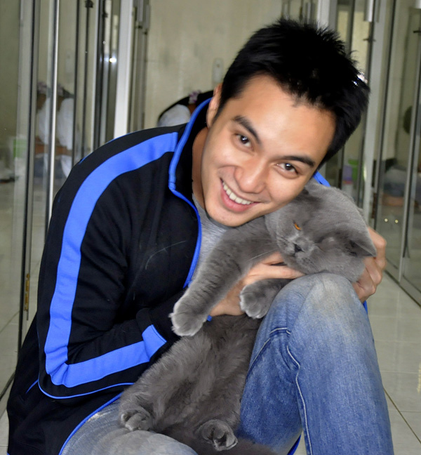 Kucing Ras British Shorthair Berkucing