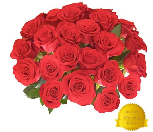 Cheap Flowers Delivered Right On Time Cheap Flowers Delivered Right On Time