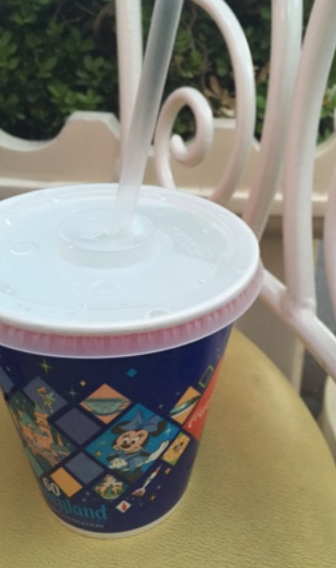 Can I Bring Food Into Disneyland Can I Bring Food Into Disneyland