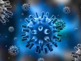 Image Obat Salep Antipiloma Anti Virus Humanpapilomma Pada Pria