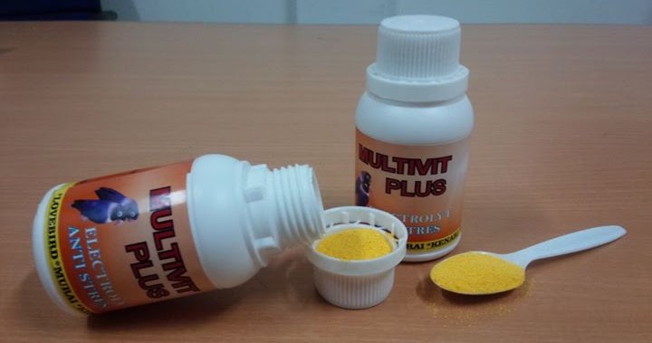 Beberapa Obat Yang Ampuh Untuk Mengobati Lovebird Nyilet Samlovebird