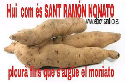 Hui , com és sant Ramón Nonato , plourà fins que s'aigüe el moniato Hui , com és sant Ramón Nonato , plourà fins que s'aigüe el moniato