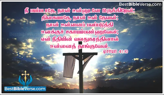 isaiah 41 bible quotes
