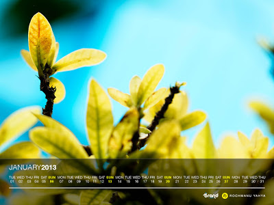 Free Collection Wallpaper Calendar of January 2013