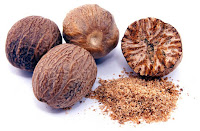 www.pravingyan.com Saw Palmetto berry