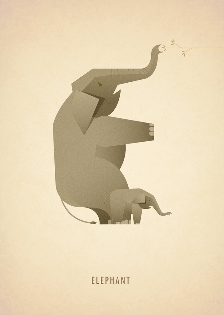 ©Marcus Reed.Animal Alphabet.Ilustración.Tipografía