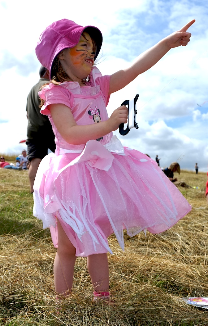 Phil's Windblog Royston Kite Festival