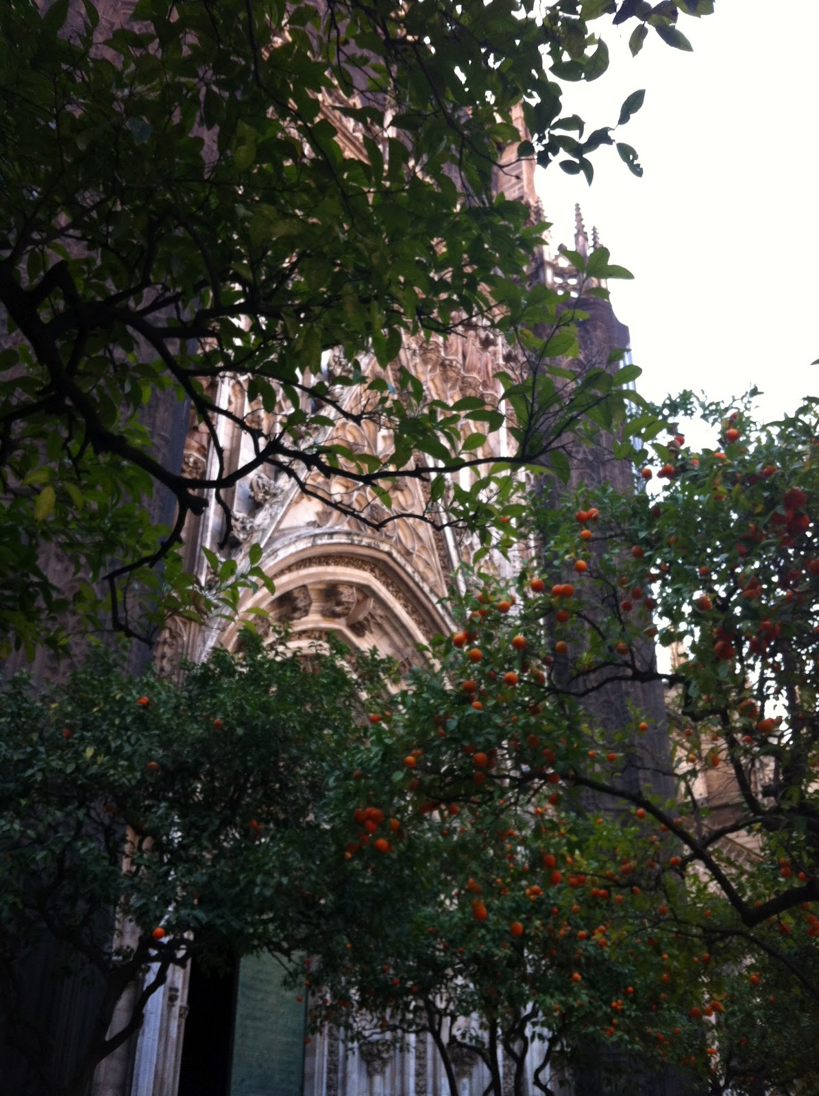 Oranges and Sunshine A Little Further North