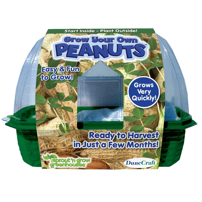 Grow Your Own Peanut Plant Kit Random Facts of the Universe