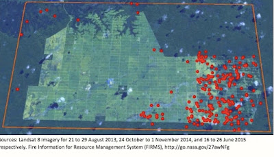 Hasil Investigasi Ungkap KORINDO Hancurkan Hutan di Papua, Beragam Masalah ini Muncul