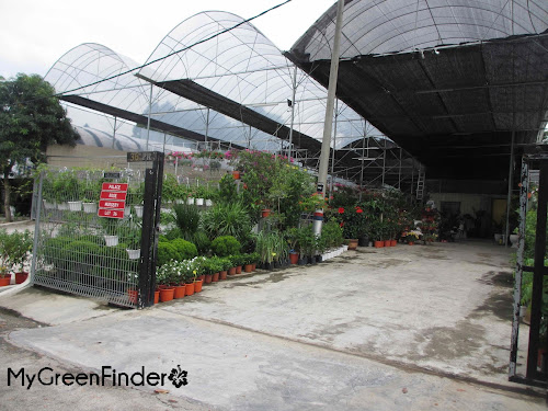 My Green Finder Plant Vendors Rose Palace Nursery