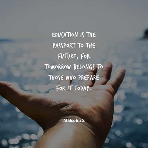Learning quotes that'll help you become successful Learning quotes that'll help you become successful