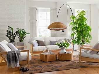 Living con plantas de interior