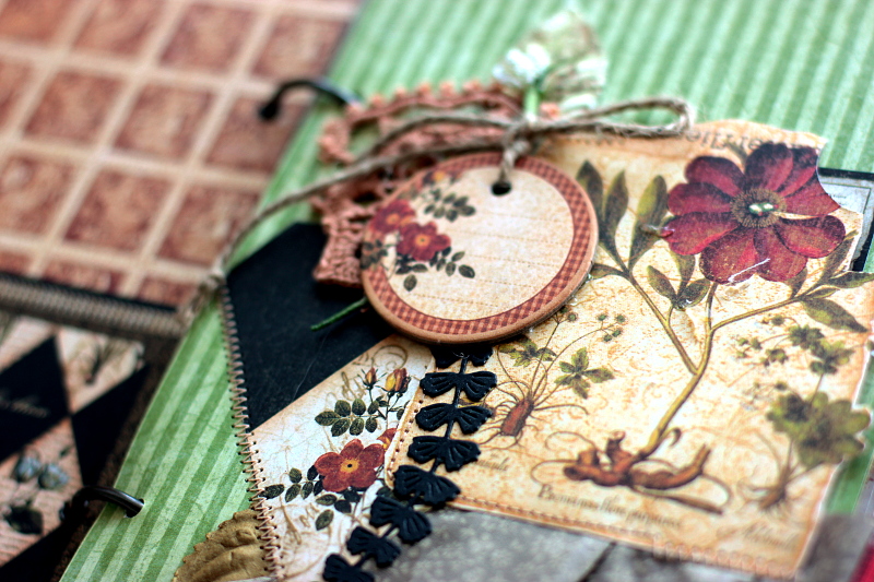 Graphic journal. Graphic journal