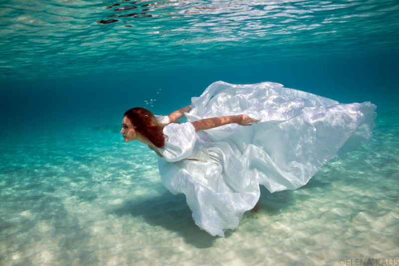 underwater photography underwater photography