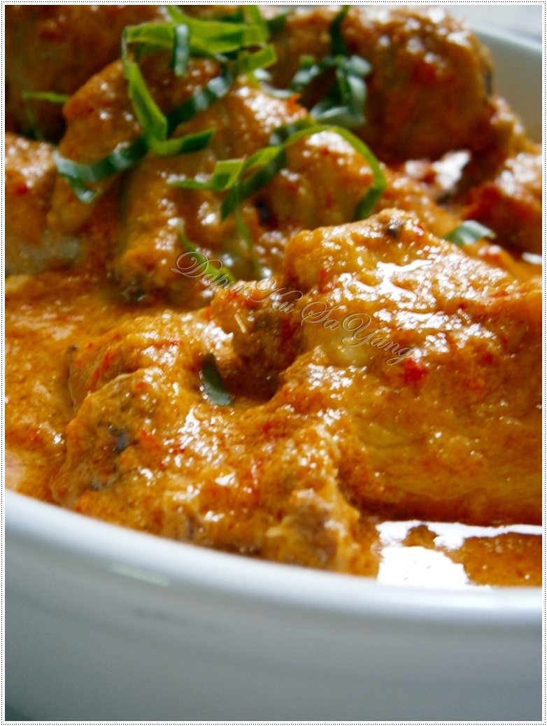 DapurKu SaYang Ayam Masak Padang