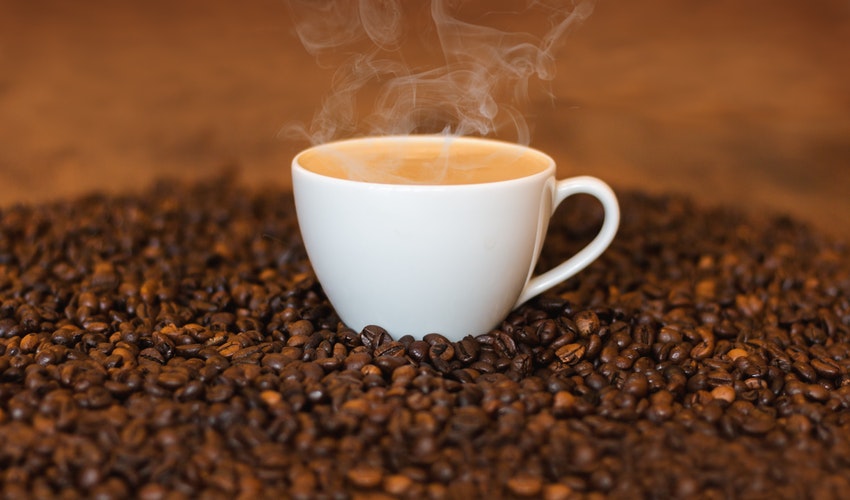 kopi kintamani bali kopi kintamani bali