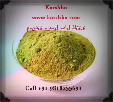 Henna powder natural hair dye rajasthani indian organic body coloring pure bulk fresh sooq right hennasooq raj baq dyeing seller Herbal Henna Dye Exporter | Hair and Skin Care Powder Supplier | Buy