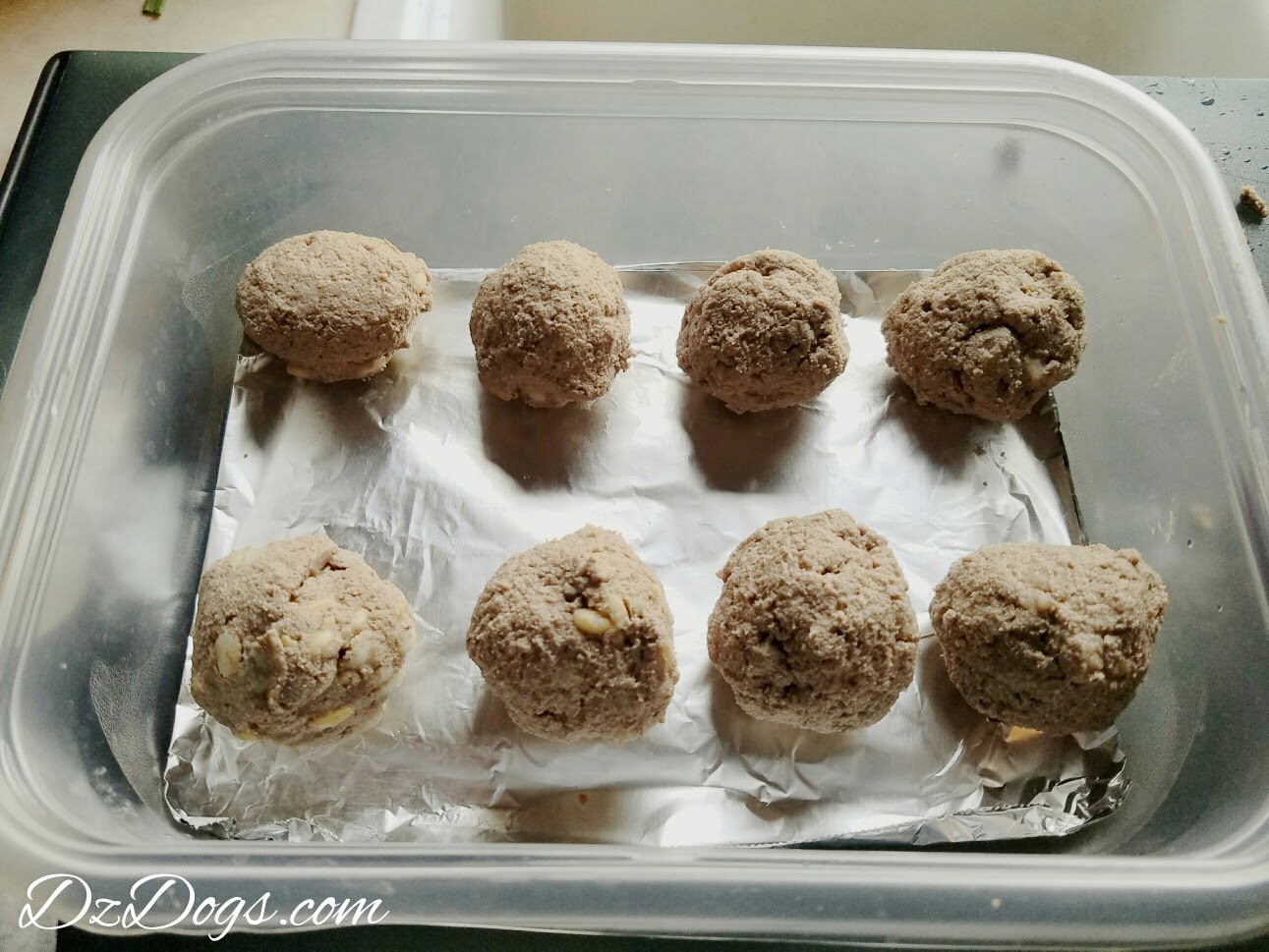 DZ's Adventures Victor Lamb & Rice Food & DIY Homemade Treats!