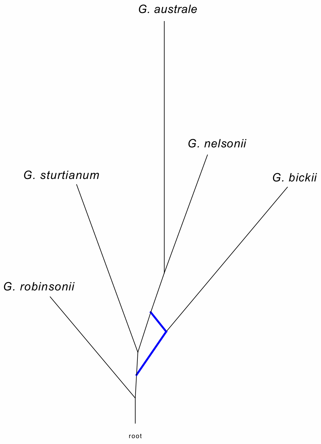 The Genealogical World of Phylogenetic Networks: A limitation of ...