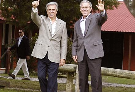 DE PELICULA TABARE - BUSH