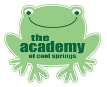 Meet Ace the Frog!  (Academy Children Excel)