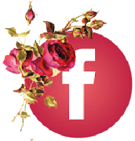 https://www.facebook.com/ontemesomemoria/