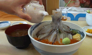 dead squid soy sauce