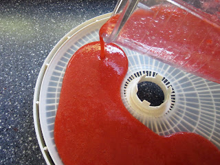 strawberry puree in dehydrator