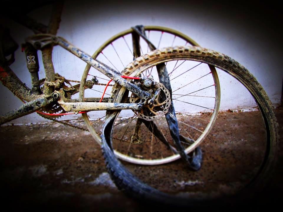 cannondale inner tubes