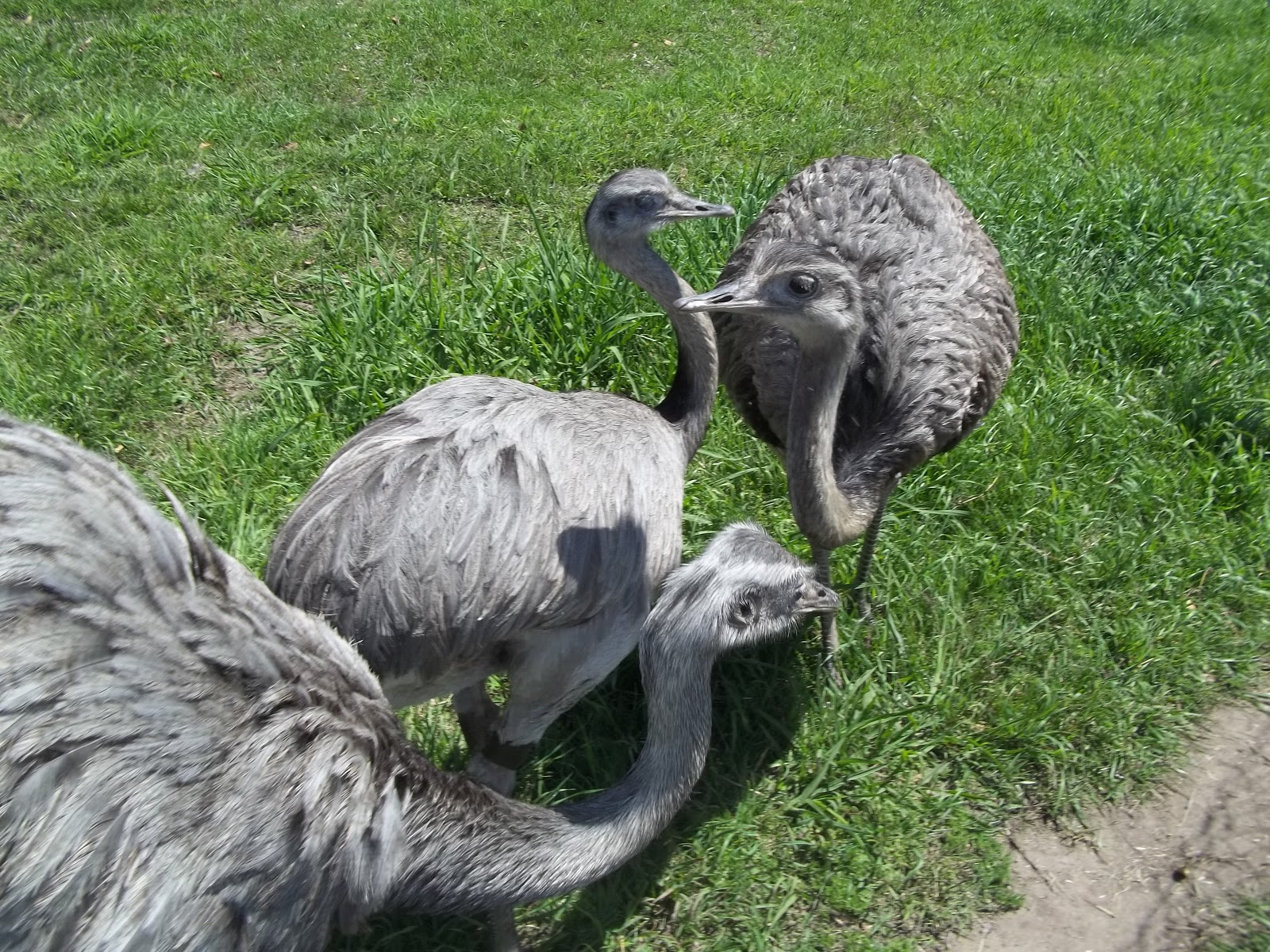 Espacios naturales en Tucumán Reserva Experimental Horco Molle