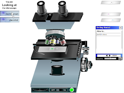 Microscopio virtual