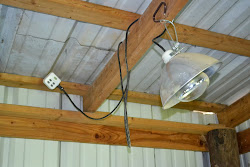 coop chicken lighting winter timer string plug roof dusk stuff