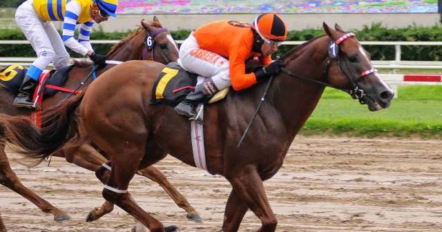 Morritos Silver corre hoy en Palermo Morritos Silver Palermo