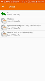 Spark VPN Mtn mPulse Settings config