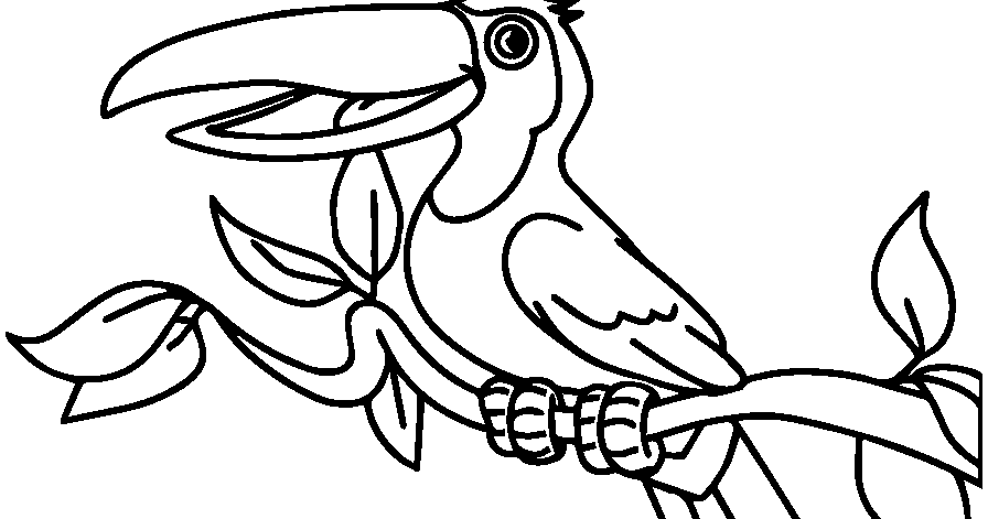 gambar mewarnai burung cikalang